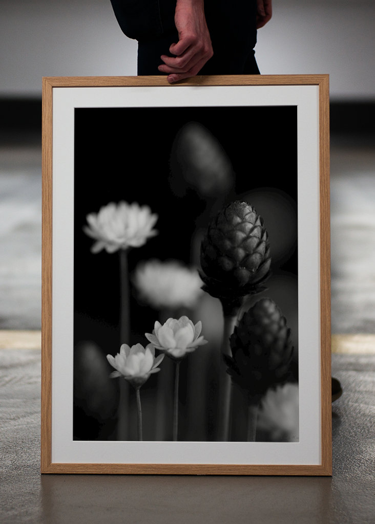  SM - SUŠENÉ KVĚTINY 06 PB