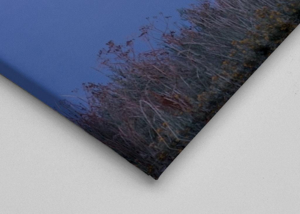 Närsholmen v měsíčním světle