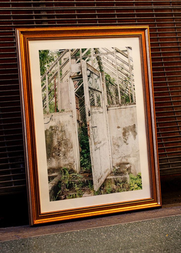 Un invernadero abandonado