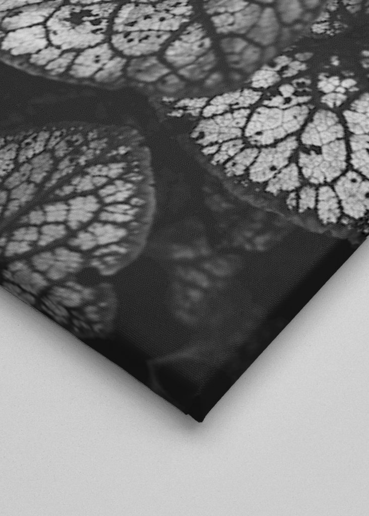 Černobílá rostlina