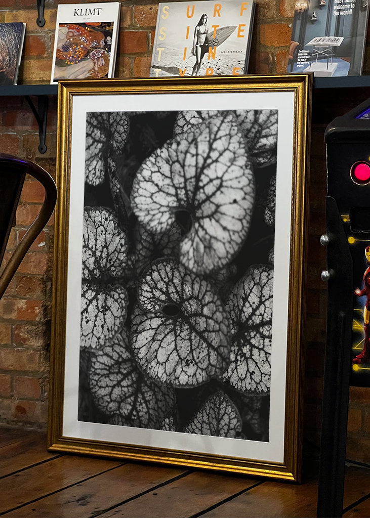 Černobílá rostlina