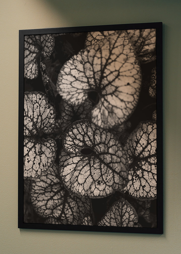 Černobílá rostlina