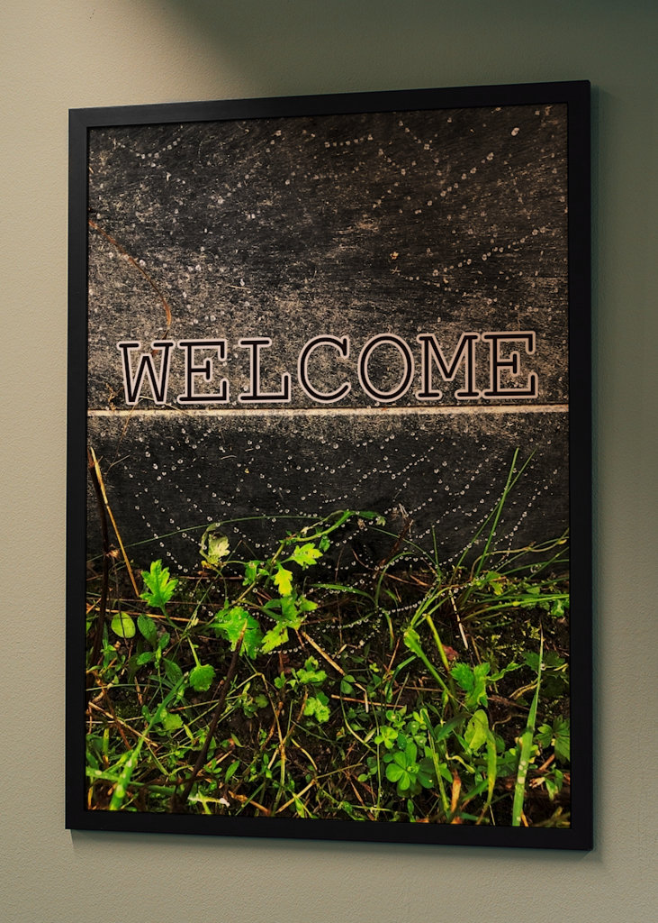 Welcome visitor