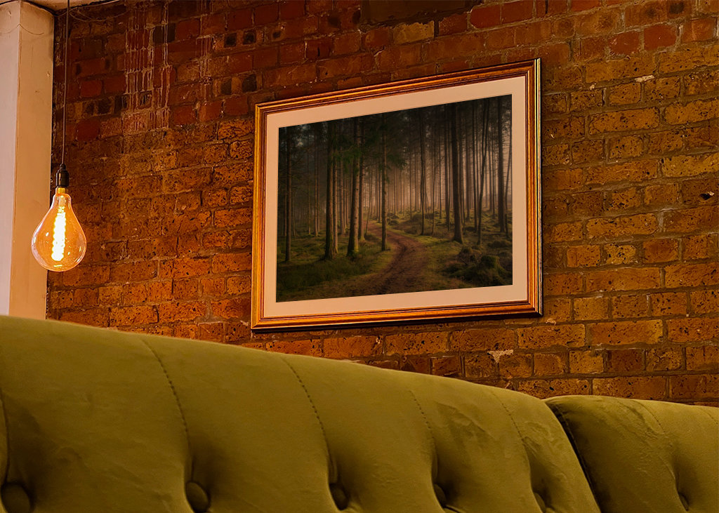 A morning in the woods