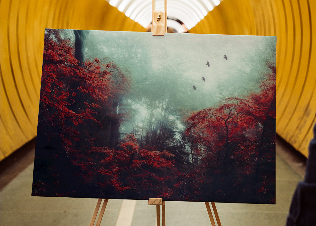 Mystická lesní scéna na podzim