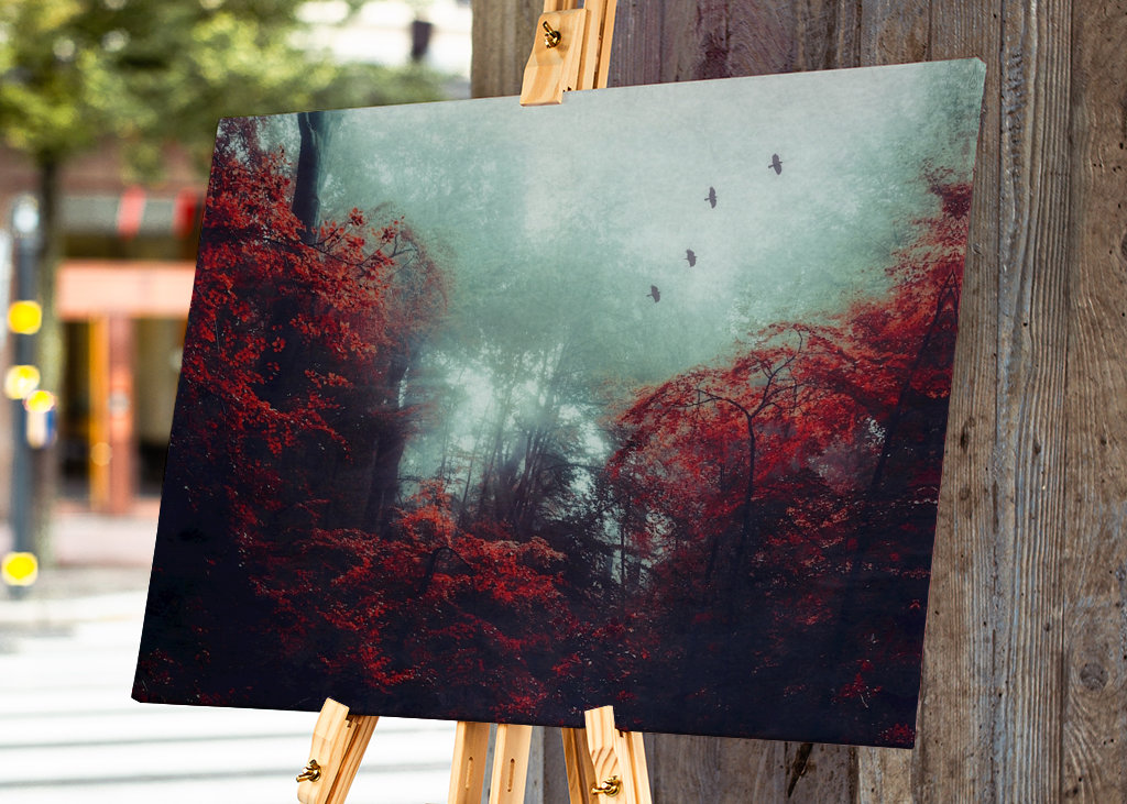 Mystická lesní scéna na podzim