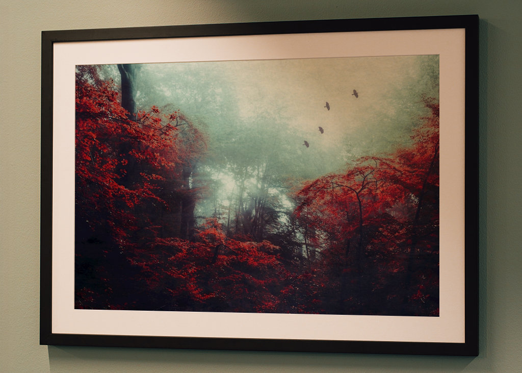 Mystická lesní scéna na podzim