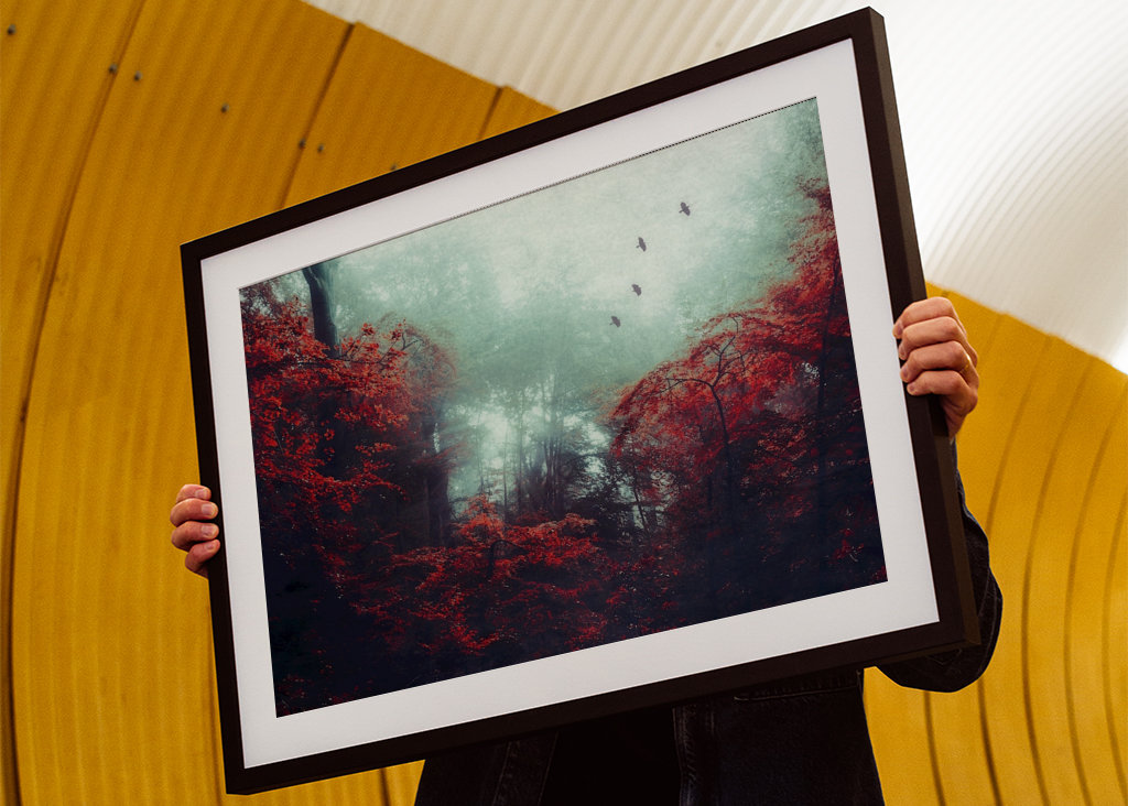 Mystická lesní scéna na podzim