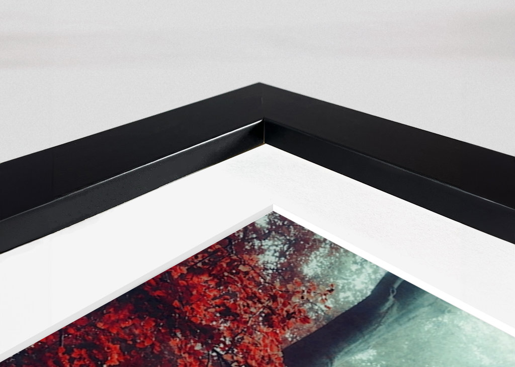 Mystická lesní scéna na podzim