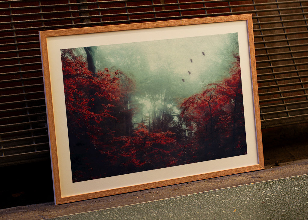 Mystická lesní scéna na podzim