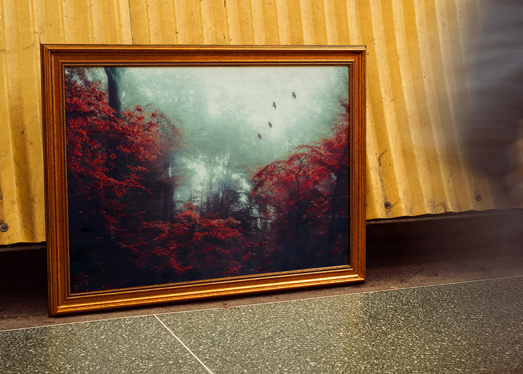 Mystická lesní scéna na podzim