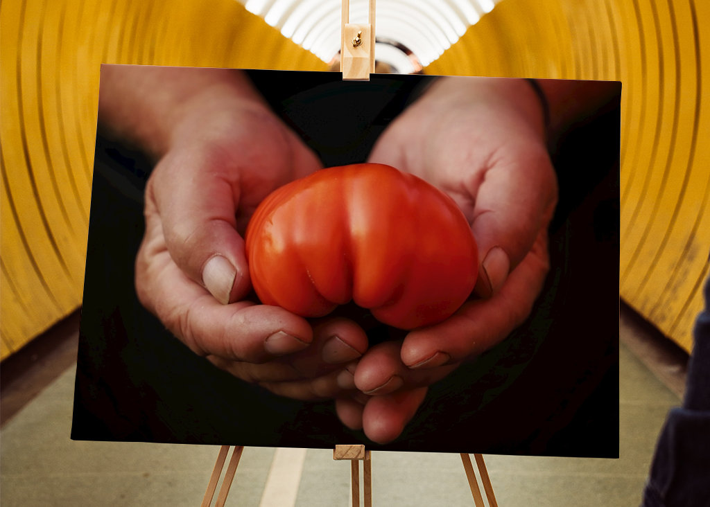 Dárek pro mou ženu 