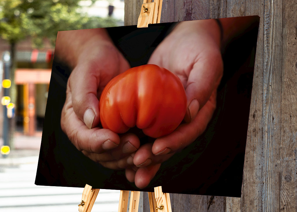 Dárek pro mou ženu 