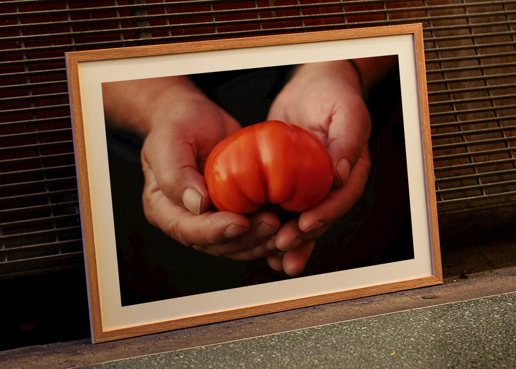 Dárek pro mou ženu 