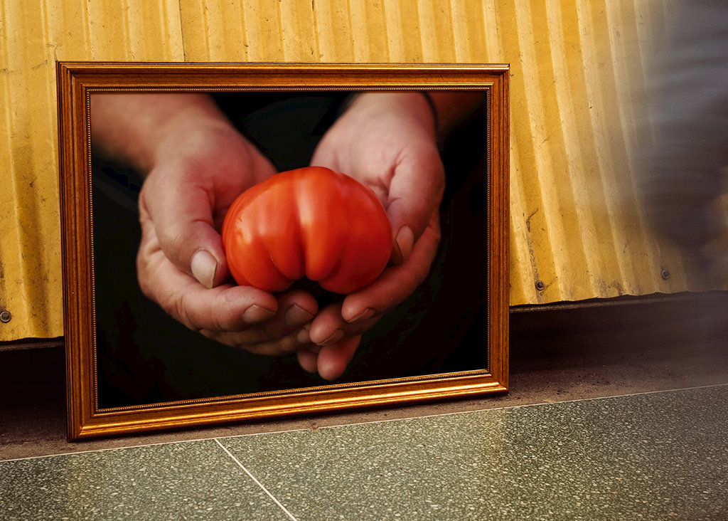 Dárek pro mou ženu 