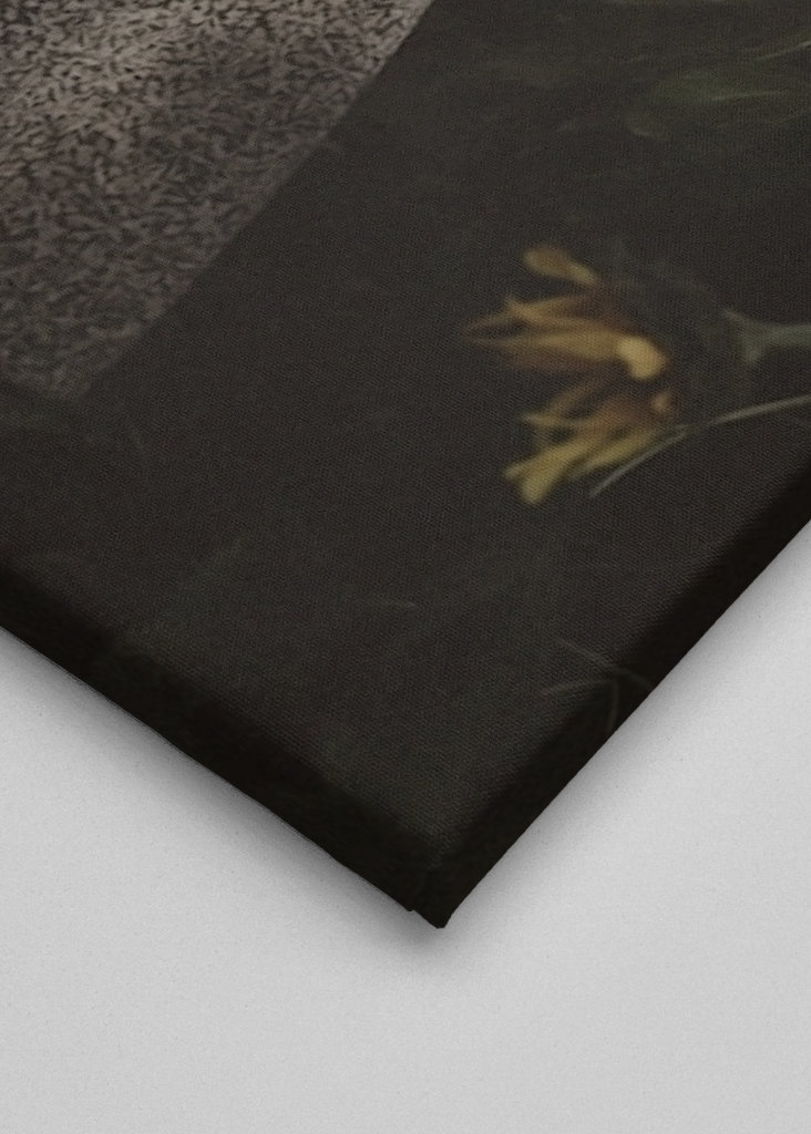 SONNENBLUMENMÄDCHEN