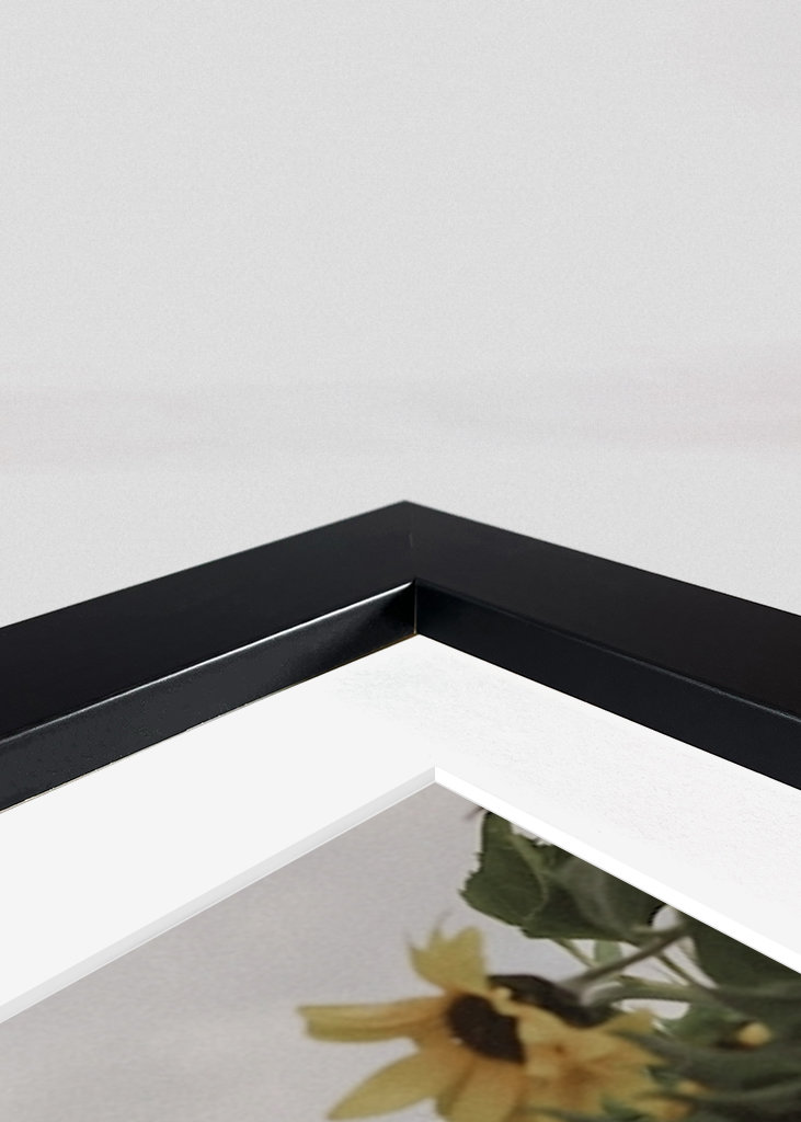 SONNENBLUMENMÄDCHEN