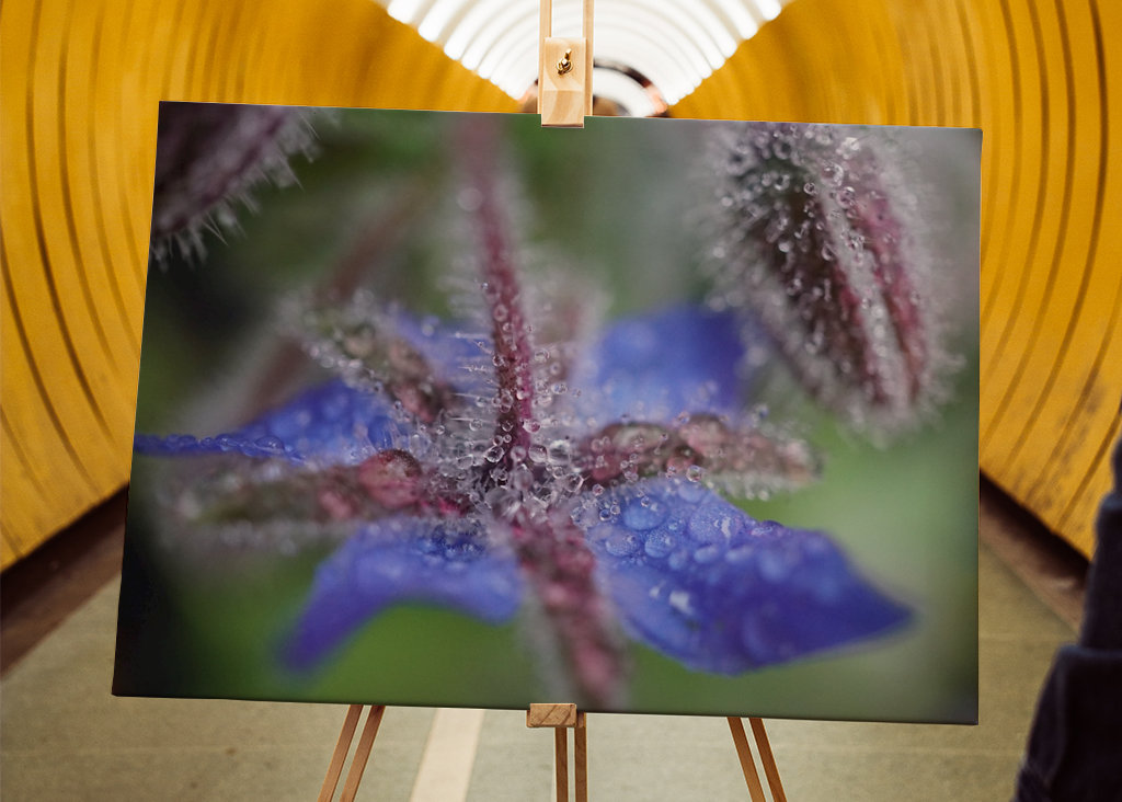 V blízkosti deště