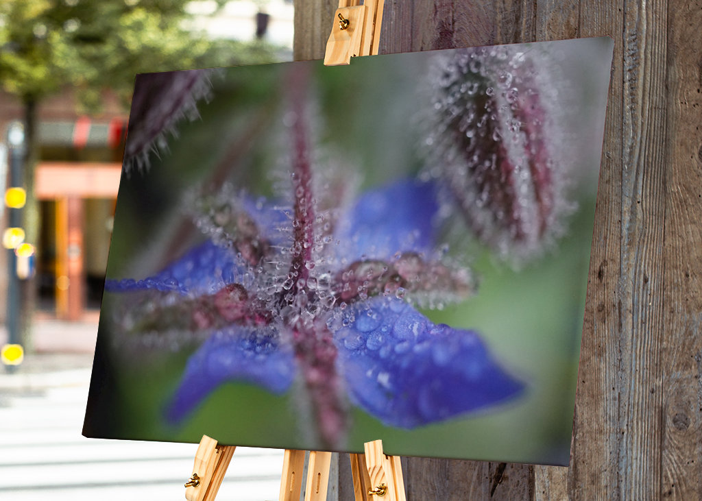 V blízkosti deště