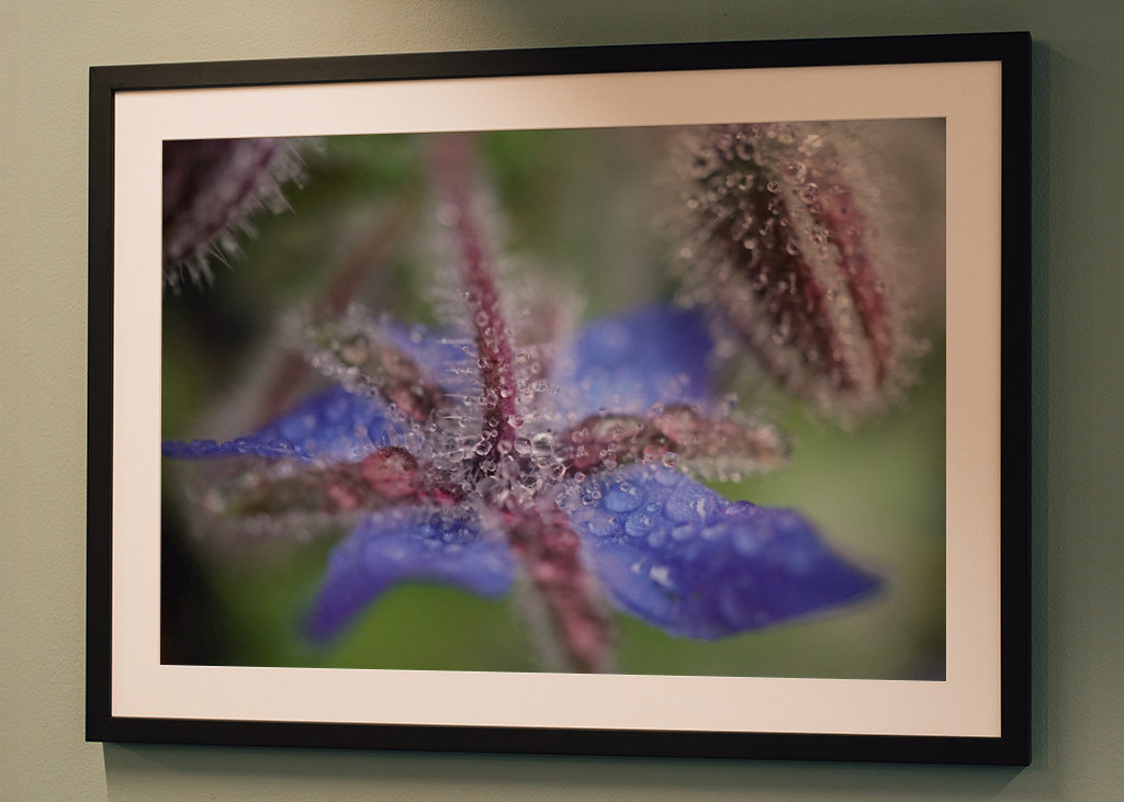 V blízkosti deště