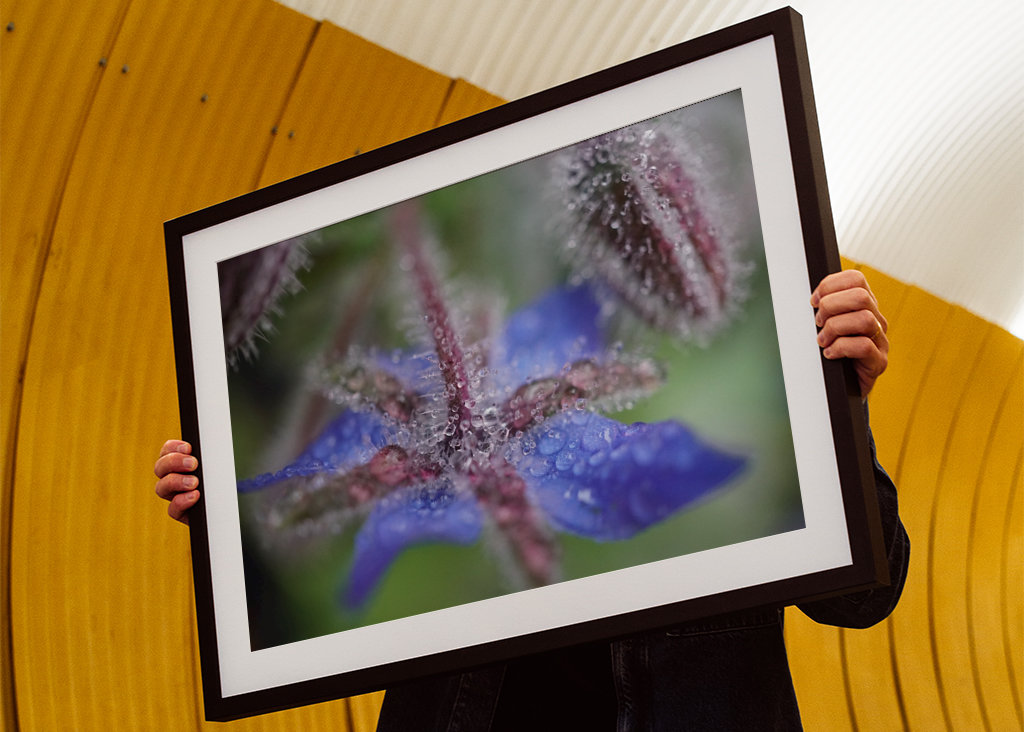 V blízkosti deště