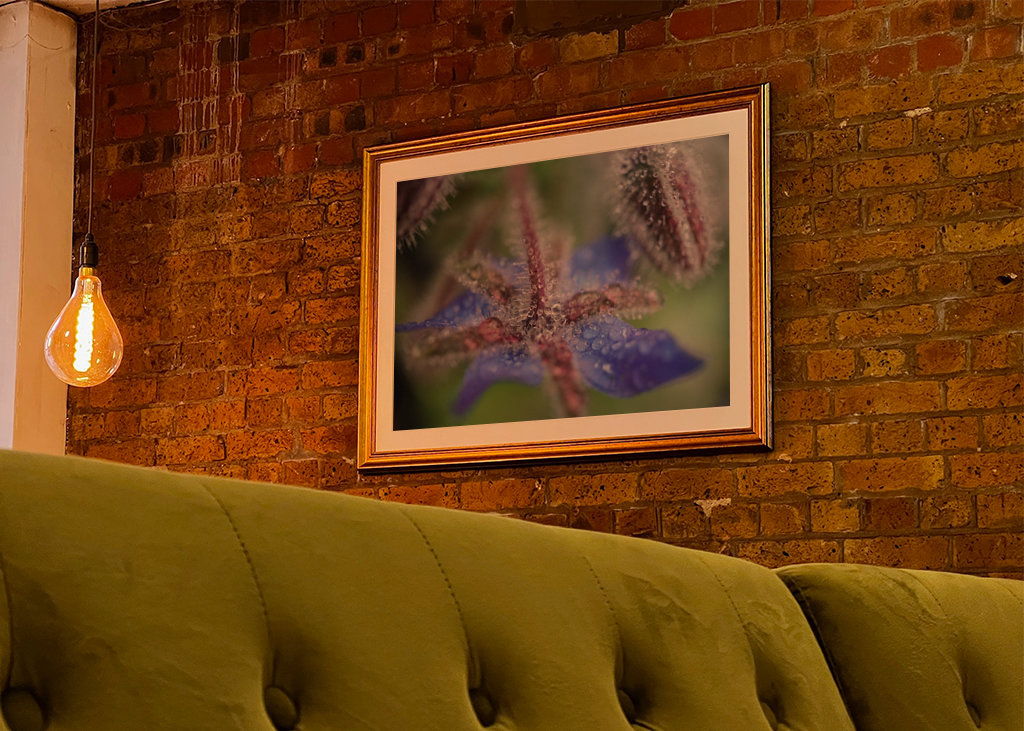 V blízkosti deště