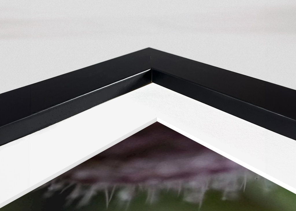 V blízkosti deště