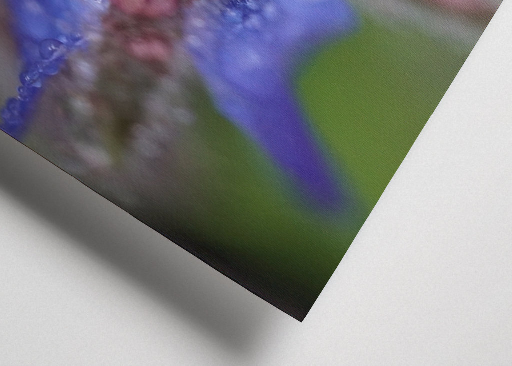 V blízkosti deště