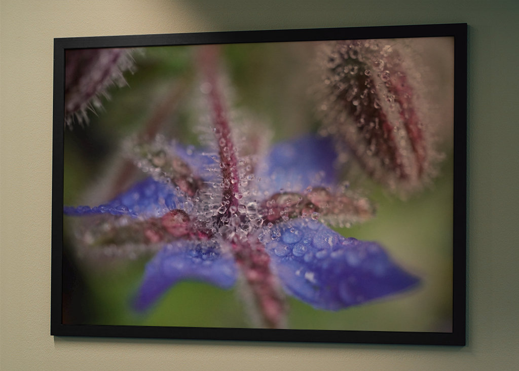 V blízkosti deště