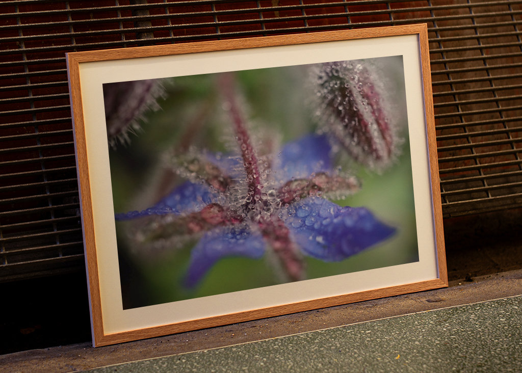 V blízkosti deště