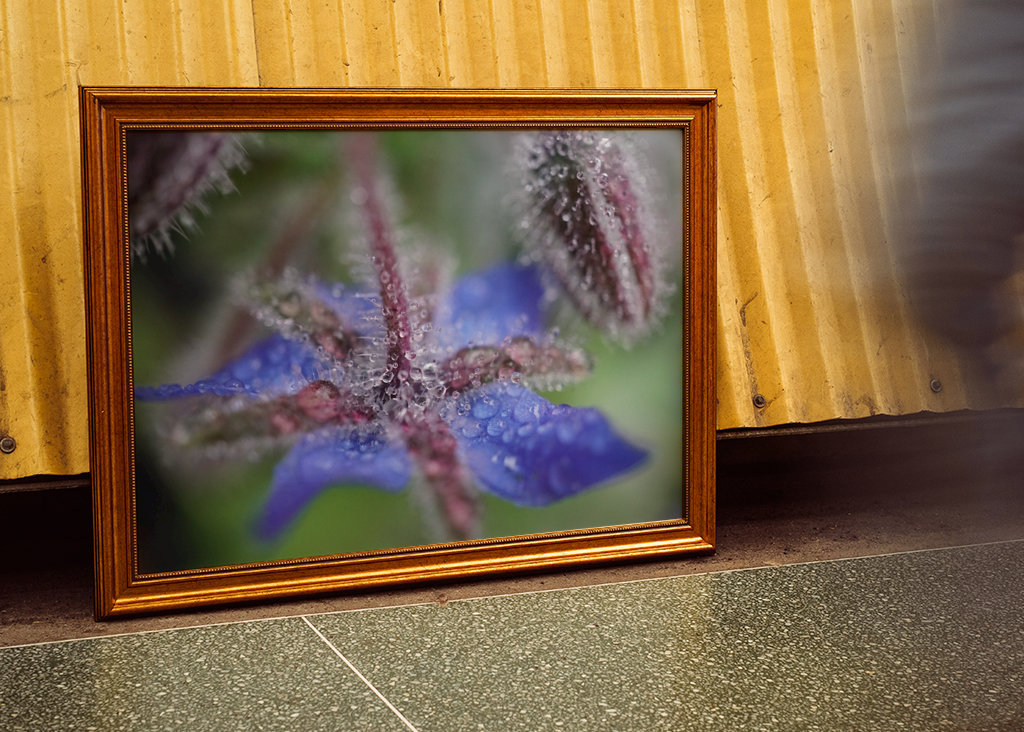 V blízkosti deště