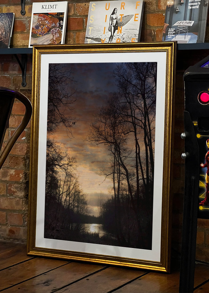 For the love of branches 