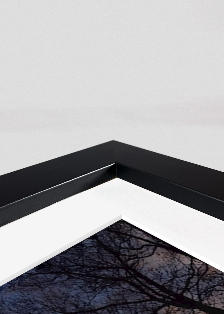 For the love of branches 