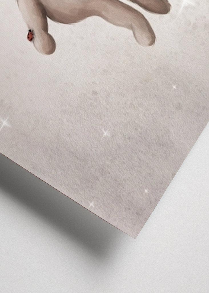 Orsacchiotto volante