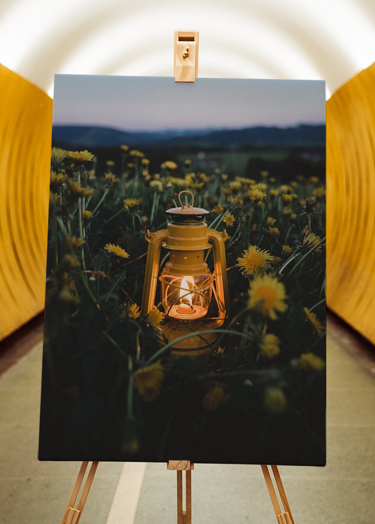 Lantern in the dandelion field