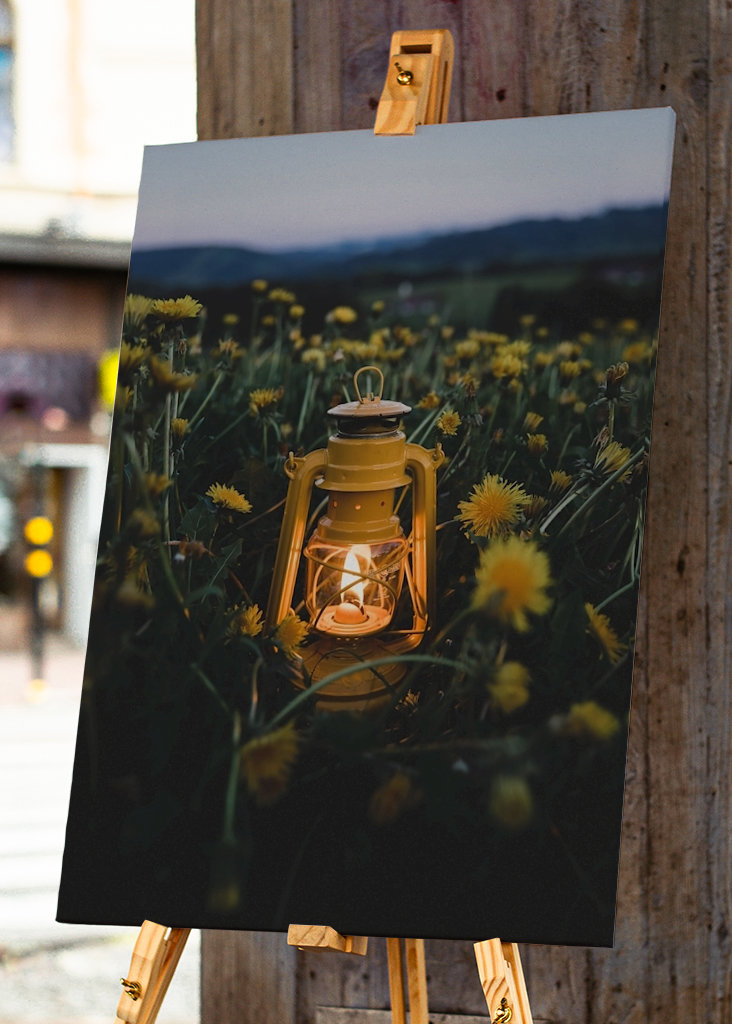 Lantern in the dandelion field