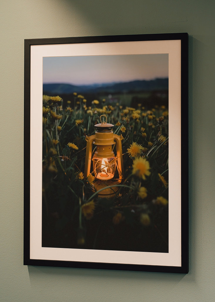 Lantern in the dandelion field