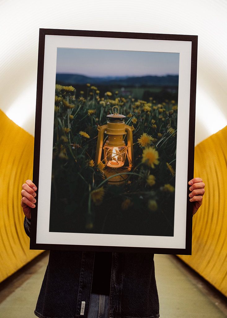Lantern in the dandelion field