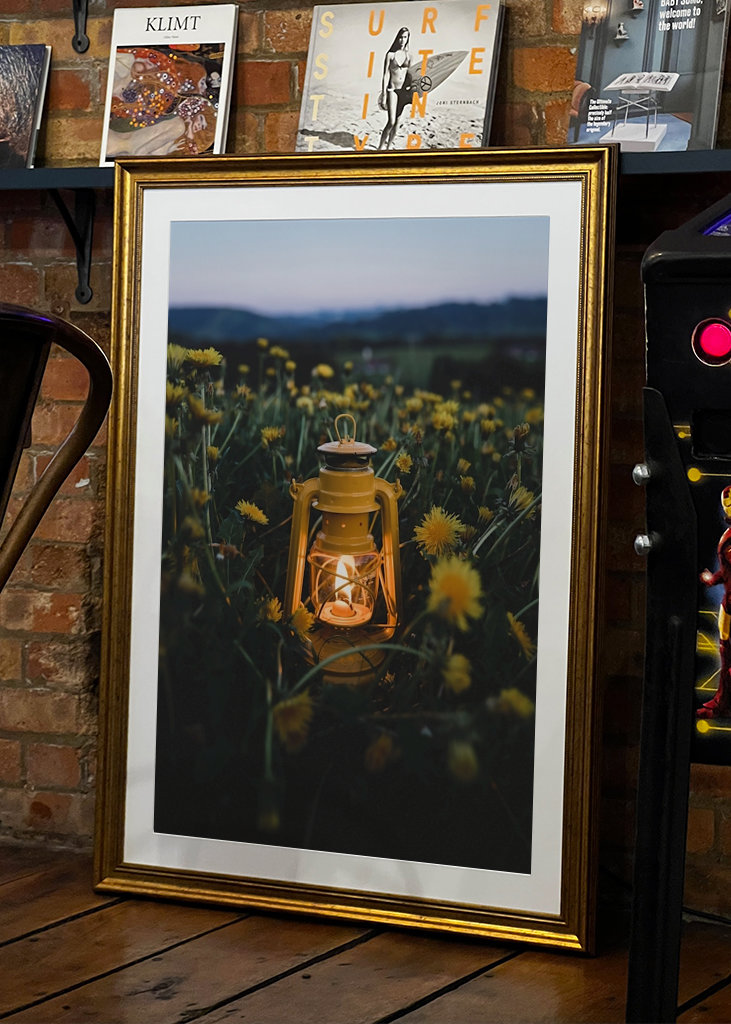 Lantern in the dandelion field