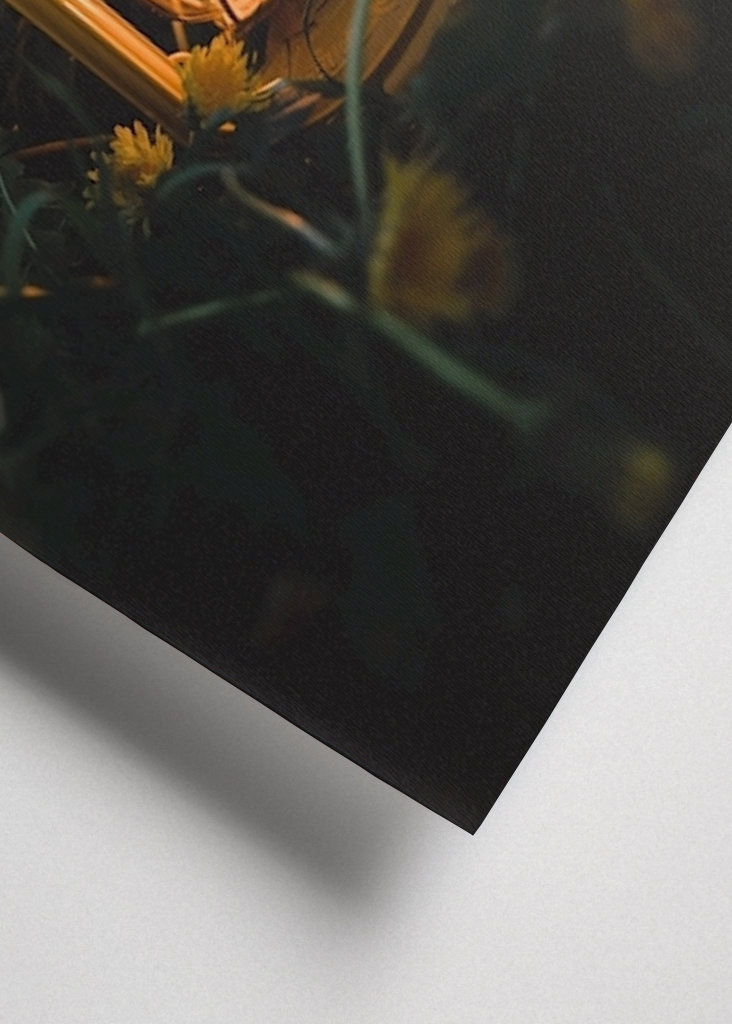 Lantern in the dandelion field