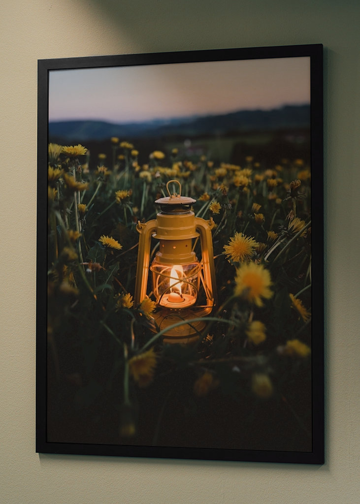 Lantern in the dandelion field