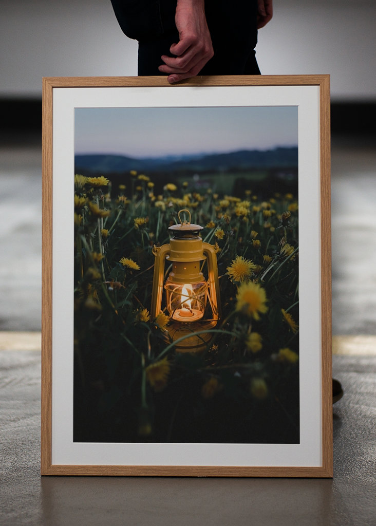 Lantern in the dandelion field