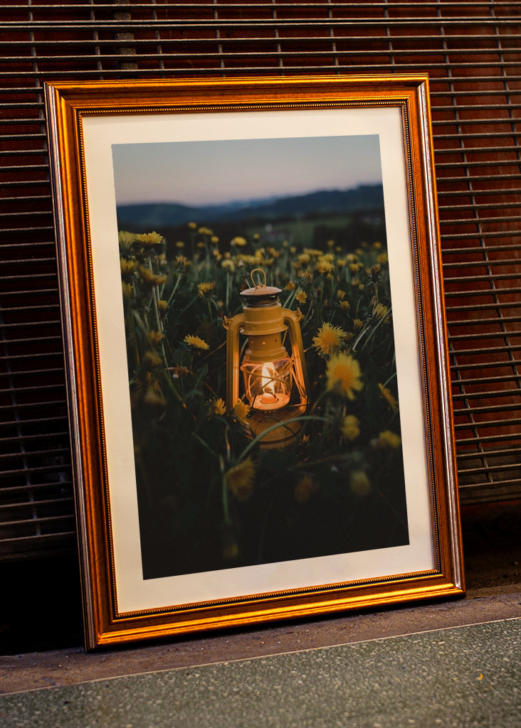Lantern in the dandelion field
