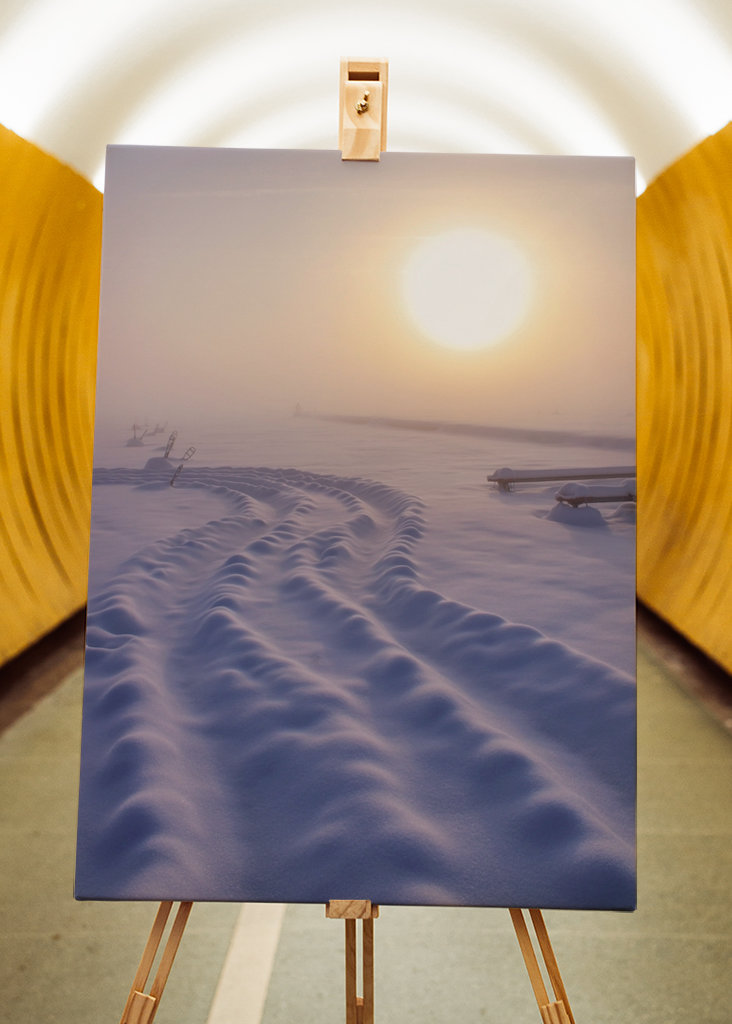 Mlhavý mrazivý den