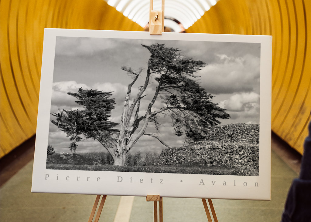 Pierre Dietz • Avalon