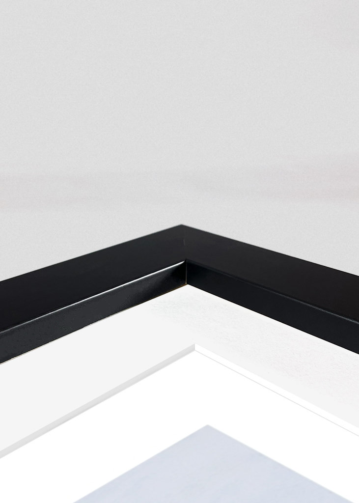 Let´s go for a swim