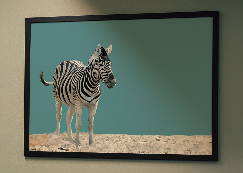 Lonely Zebra