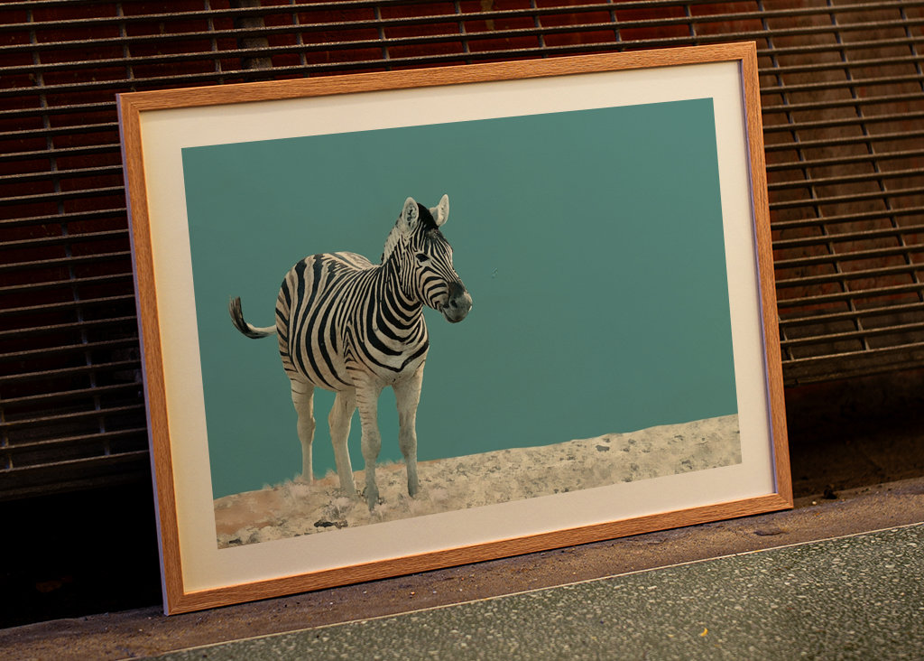 Lonely Zebra