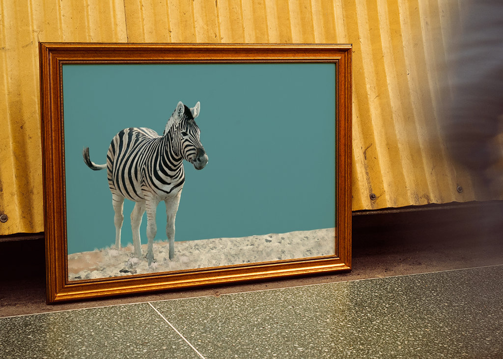 Lonely Zebra