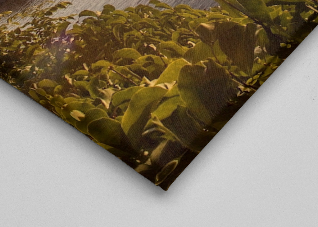 Východ slunce nad Djurgårdenem